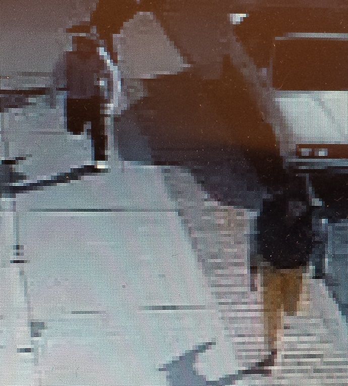 Toronto Police Continue To Search For Men Snatching Purses The Toronto Observer