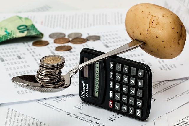 Potato balancing out coins on calculator