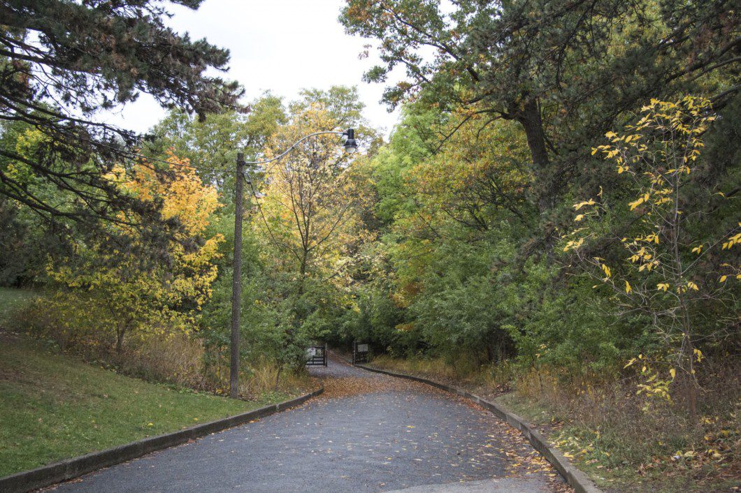 A path in Autumn at High Park