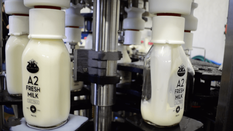 Glass bottle of A2 Milk being filled by machine