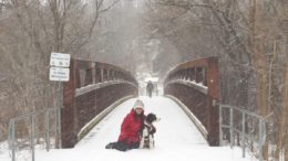 Mary Vallis and her dog Ferris at the pedestrian bridge in Crothers Woods.