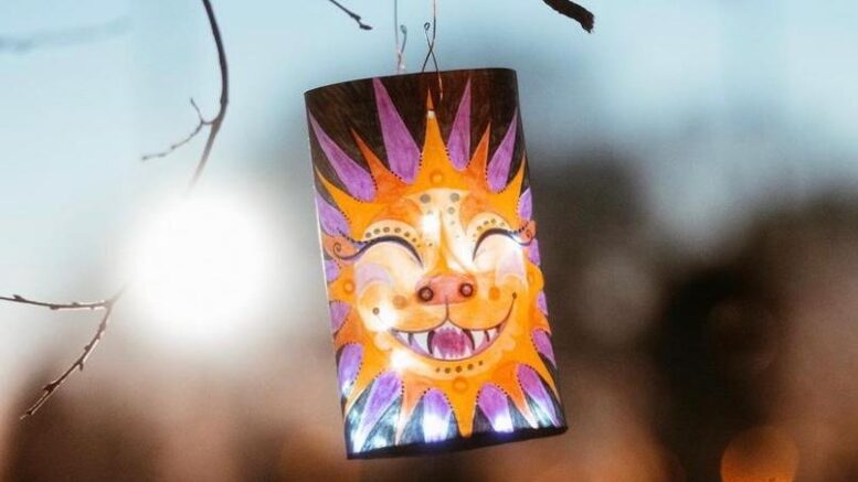 a lantern at the lLght It Up parade hangs from a tree, with the sun shining behind it