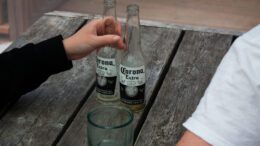 Starting Aug. 5, Torontonians will be able to consume alcohol in some parks. (Cole Hayes/Toronto Observer)