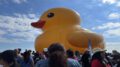 world's largest rubber duck and a crowd of people