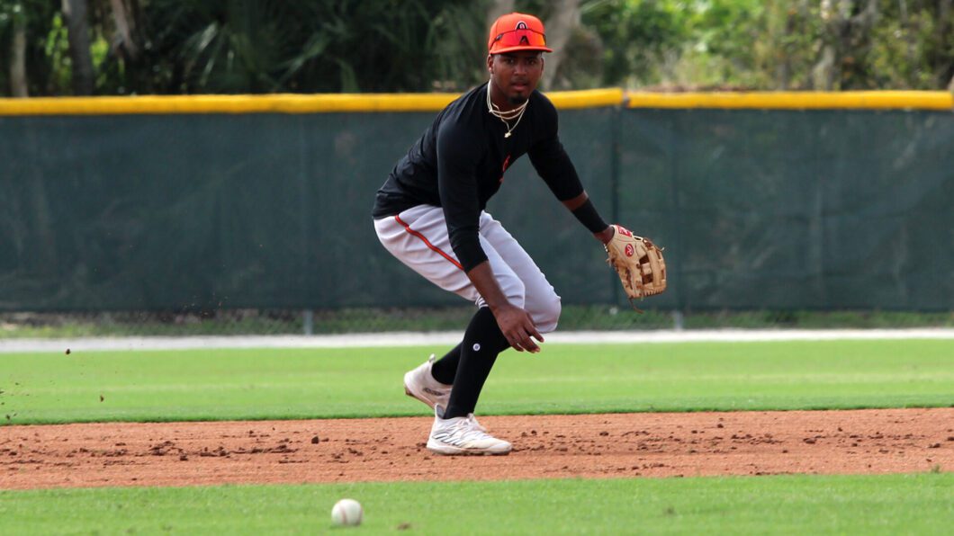 Baltimore Orioles prospect Leandro Arias
